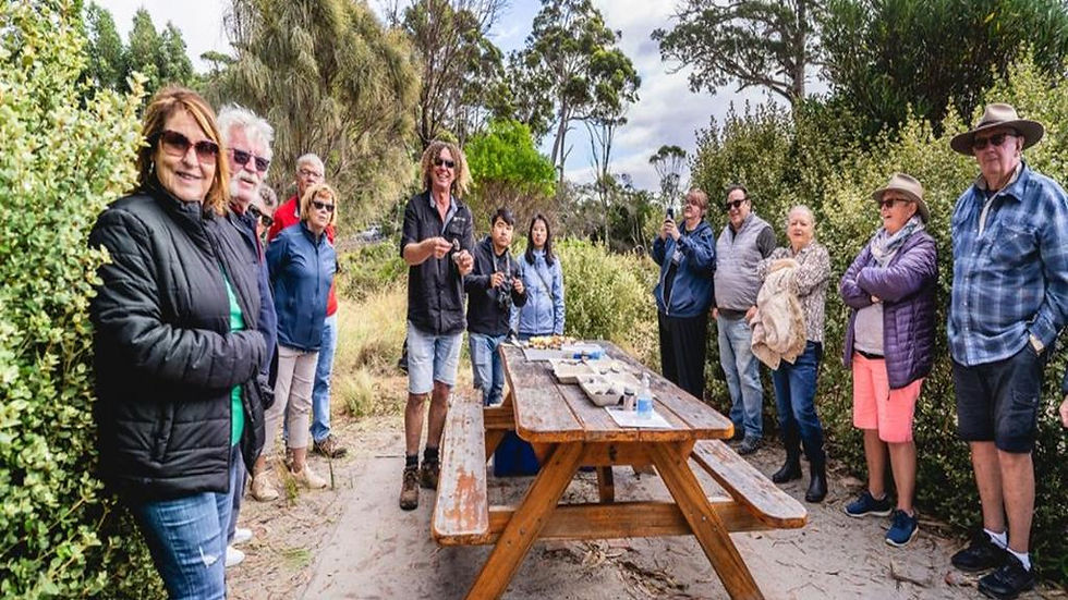 Thumbnail: Bruny Island Safari - Food, Sightseeing and lighthouse Tour