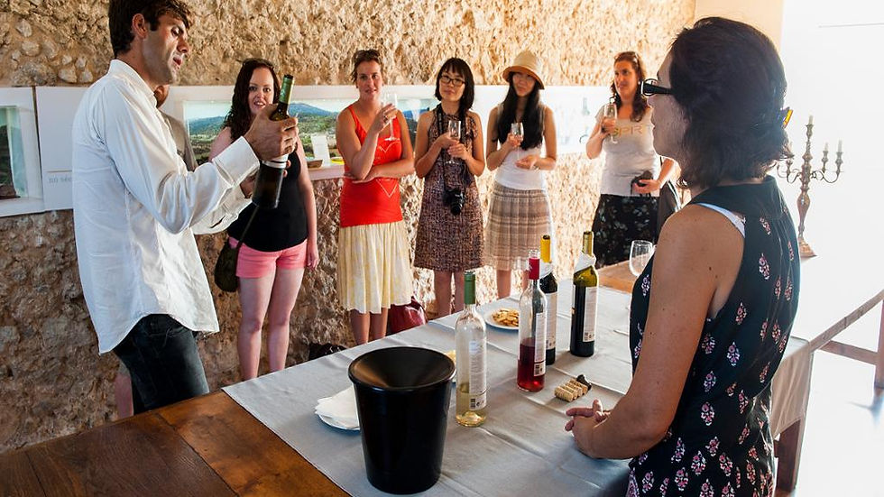 Thumbnail: Explorer Arrabida Wine Region- Small Group Tour