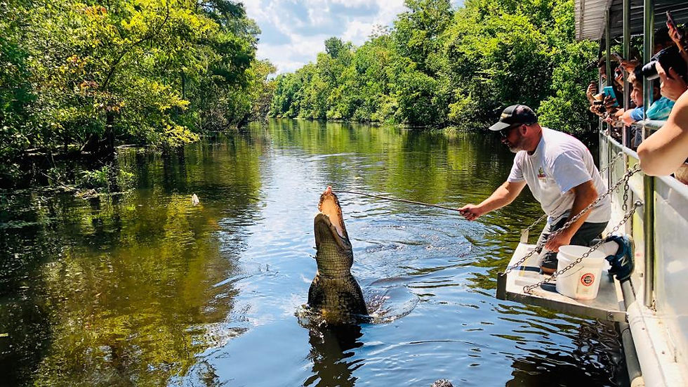 Thumbnail: Destrehan Plantation and Manchac Swamp – Half-Day Tour