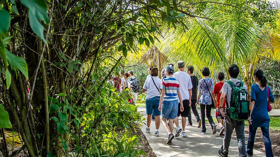 Thumbnail: Everglades Admission ticket - Sawgrass Recreation Park