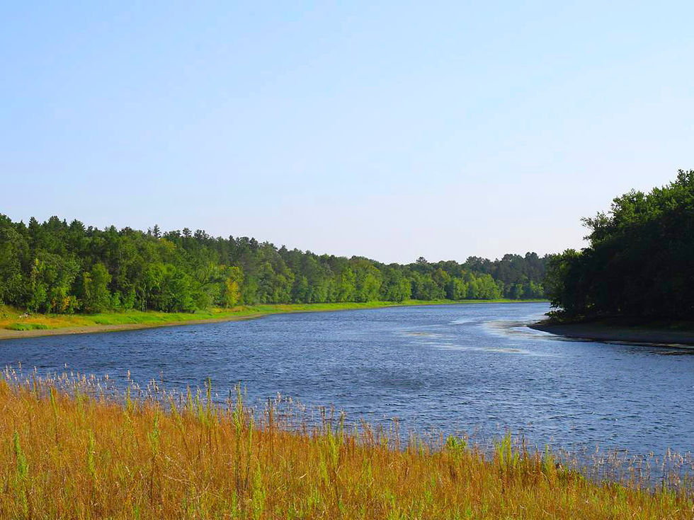 Thumbnail: Sao Francisco River Nature Santuary