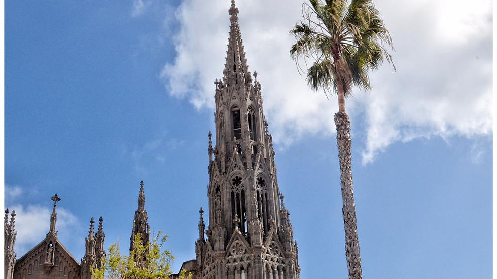 Thumbnail: Essences of the North of Gran Canaria - Full-Day Tour