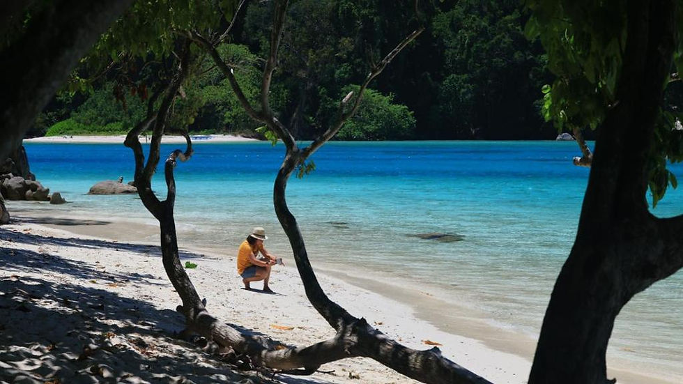 Thumbnail: Day Trip to Similan Island by Speedboat from Phuket