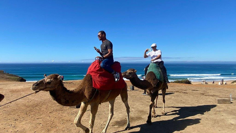 Thumbnail: Crossing Continets: From Seville to Morocco - Full-Day Tour
