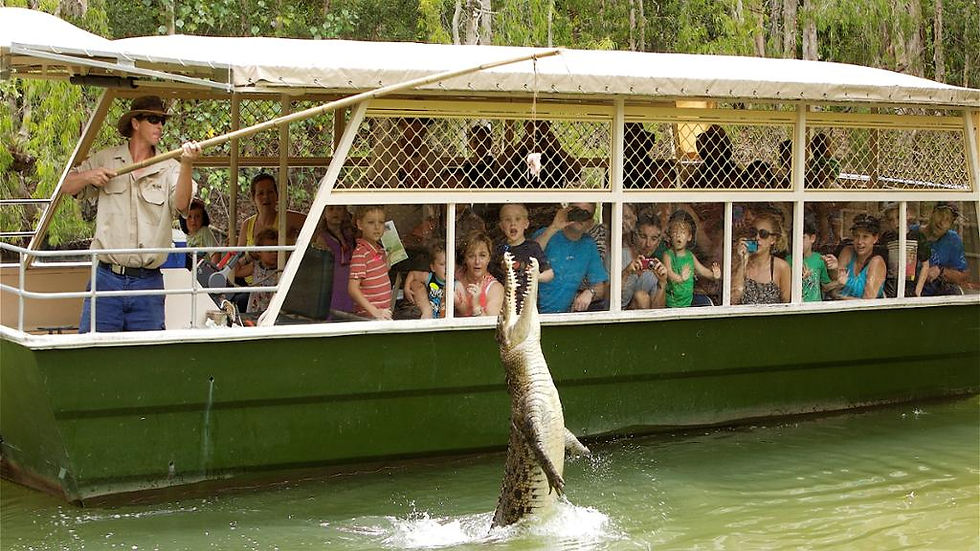 Thumbnail: Hartley's Crocodile Adventures - Ticket with Transfers