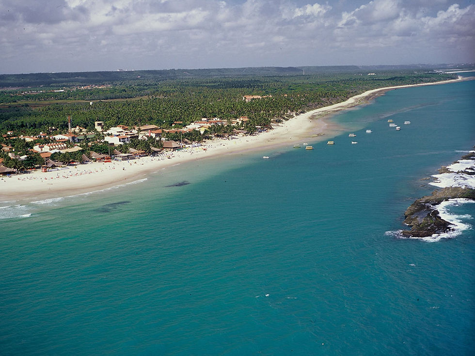 Thumbnail: South Coast - Frances Beach Tour