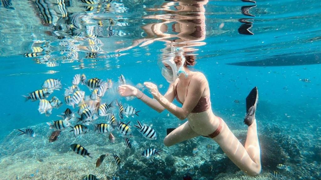 Snorkeling in the Blue Lagoon - Full-Day Tour