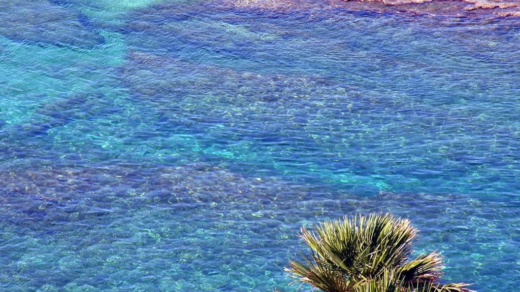 Full Day Tour to San Vito, Scopello and Castellammare del Golfo from Trapani - F