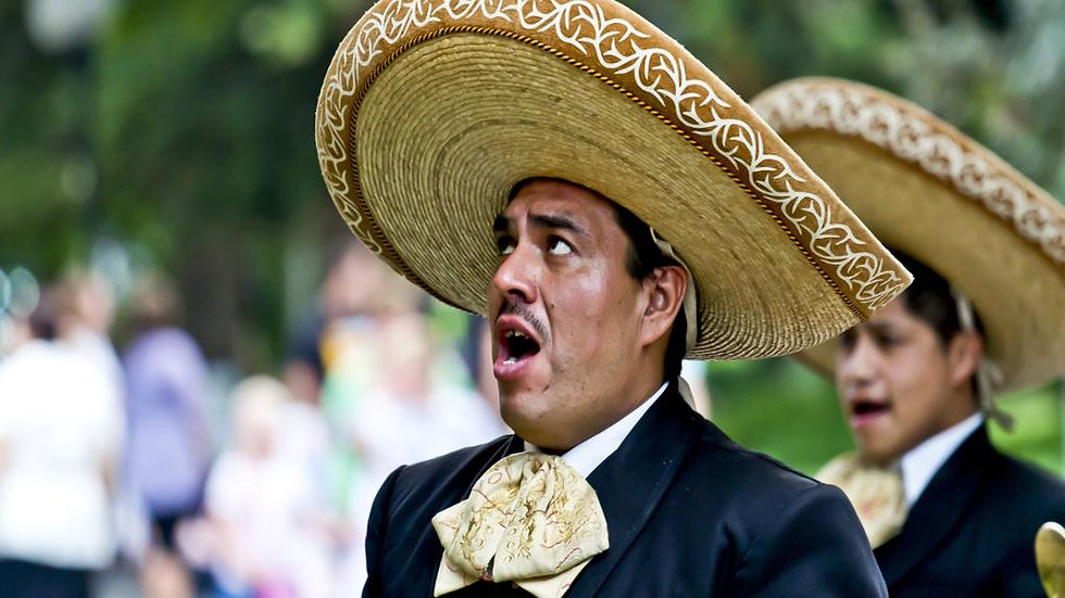 Thumbnail: Mexican Night: Mariachi and Wrestling Show