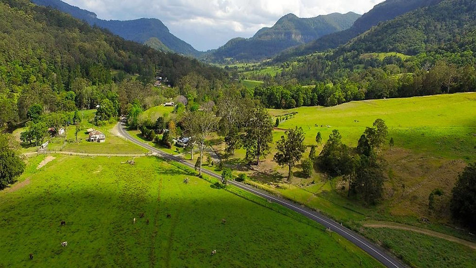 Thumbnail: Natural Bridge and Springbrook Tour