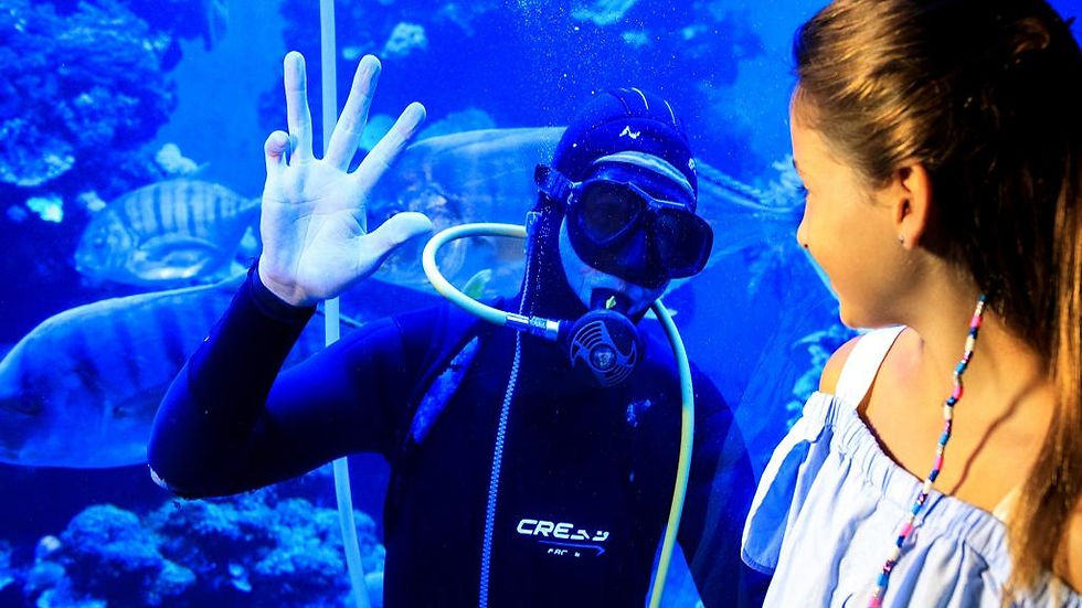 Thumbnail: Palma Aquarium - Ticket