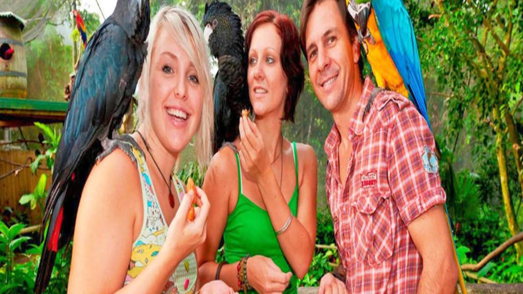 Kuranda Koala Garden, Birdworld and Butterfly Sanctuary Combo Pass