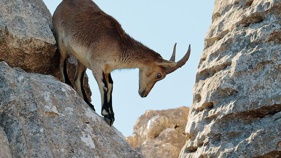 Thumbnail: Torcal de Antequera Hiking Tour - from Malaga