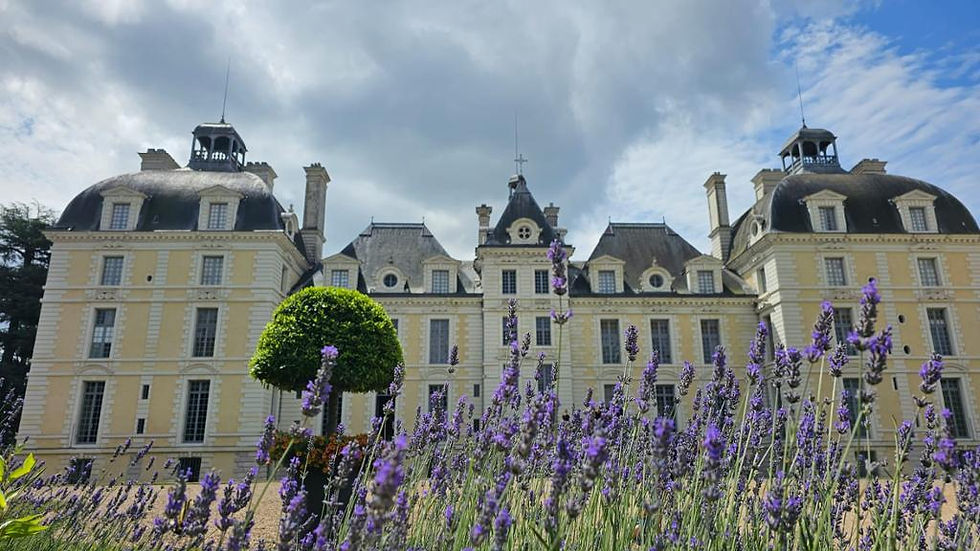 Thumbnail: All day trip audioguided tour of Loire castles with transportation from Paris