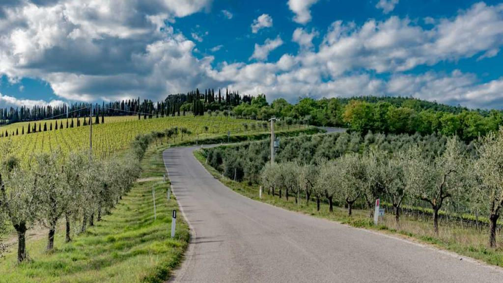 E-Bike Adventure in Chianti: Discover the Landscapes of Tuscany with Lunch and W