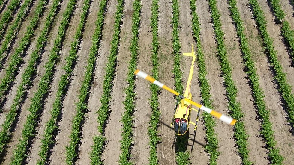 Thumbnail: Helicopter Tour over Southern Barossa  - Private 10 minutes Flight