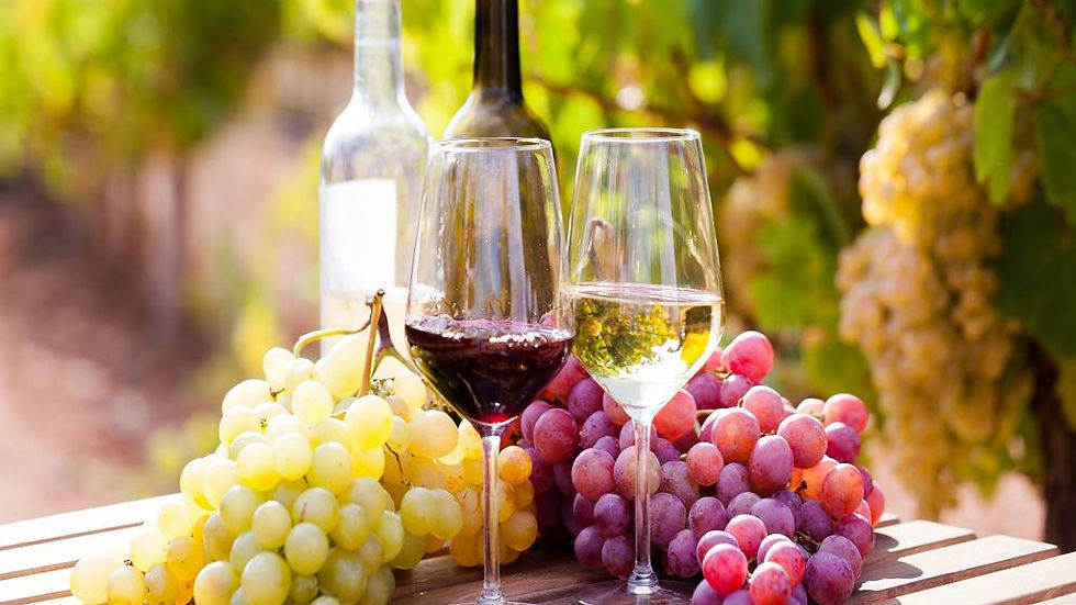Thumbnail: Frankfurt Wine Tasting Half-Day Private Tour