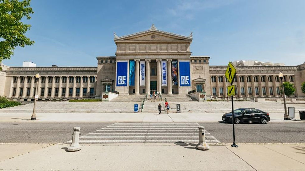 Thumbnail: The Field Museum - Basic Admission