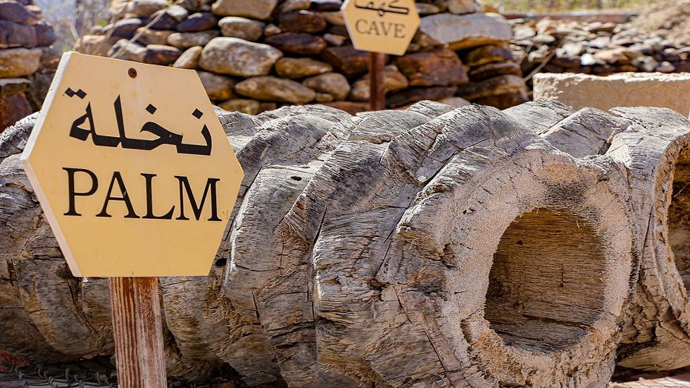 Thumbnail: Hatta Honeybee Garden Discovery Centre - Tour