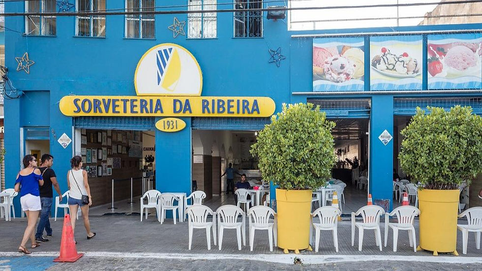 Historical and Panoramic City Tour of Praia Do Forte and Ilha Dos Frades