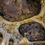 Thumbnail: Discover Schonbrunn Palace and Gardens Skip the Line Ticket - Small Group Tour