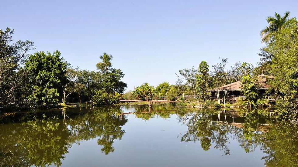 Thumbnail: Everglades Admission ticket - Sawgrass Recreation Park