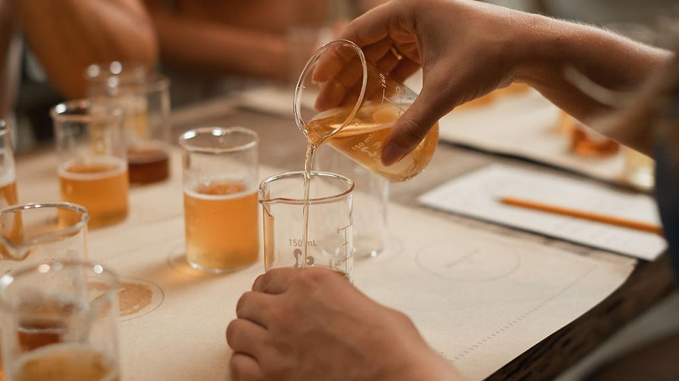 Thumbnail: Make Your Own Beer at Tulum Brewery 