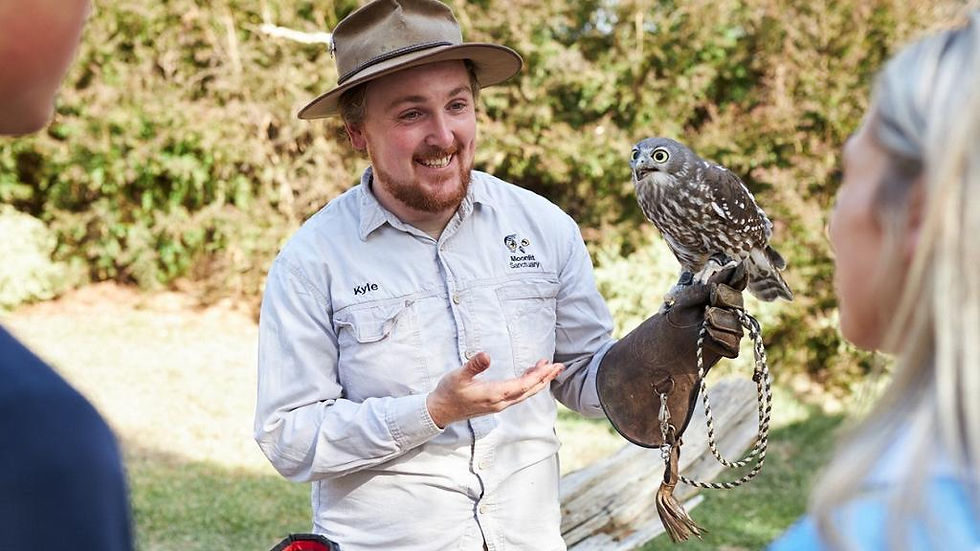 Thumbnail: Penguins and Wildlife Nature Experience 