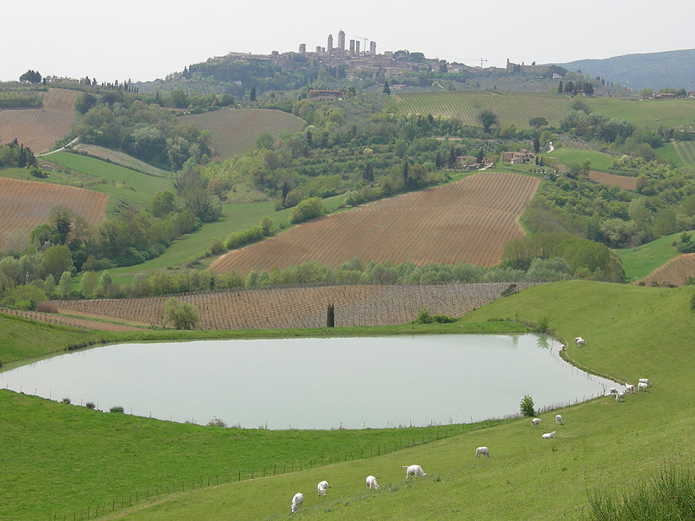 Thumbnail: The Essence of Tuscany: Chianti Classico, Montalcino and Montepulciano - Small G