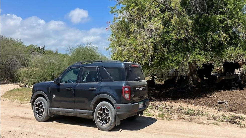 Thumbnail: Off-Road Desert Experience - Private Jeep Tour 