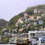 Thumbnail: Muir Woods and Sausalito Tour and Alcatraz Island
