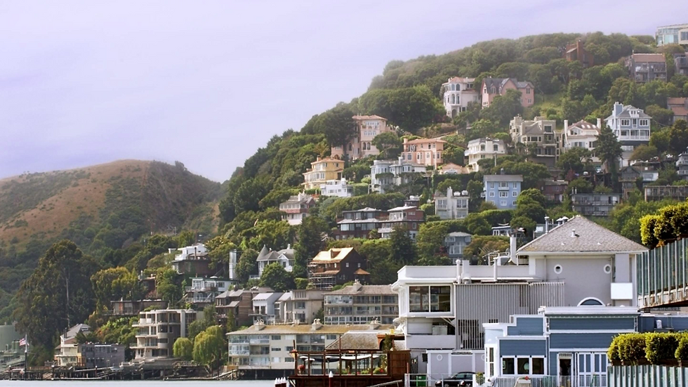 Thumbnail: Muir Woods and Sausalito Half Day Tour