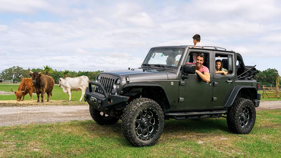 Thumbnail: Visit the Wildlife Safari Park and Enjoy an Airboat Ride