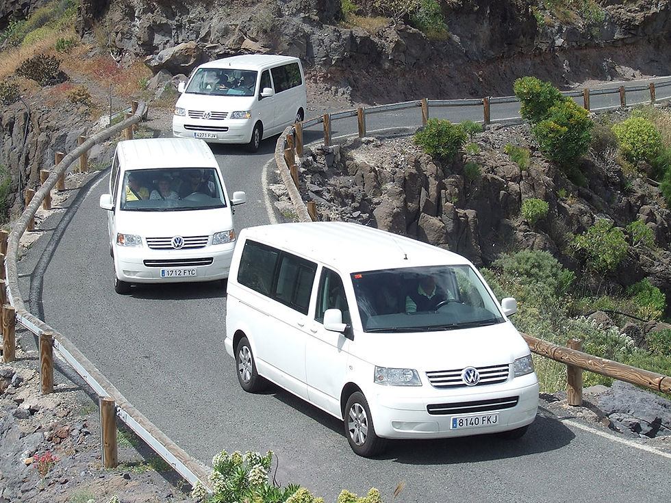 Thumbnail: Vip trip Gran Canaria Highlights