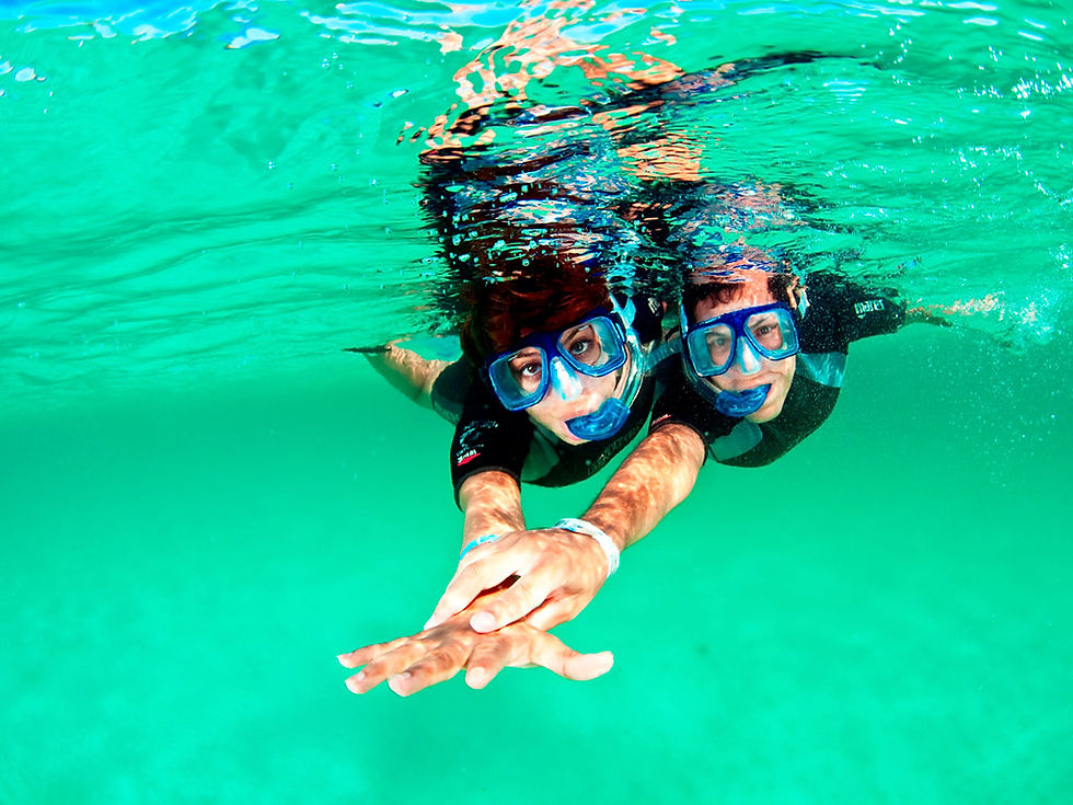 Thumbnail: Tour Xel-ha All Inclusive with transport