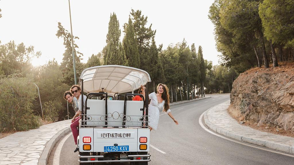 Thumbnail:  Malaga City Tour by Eco Tuk-Tuk - Ticket