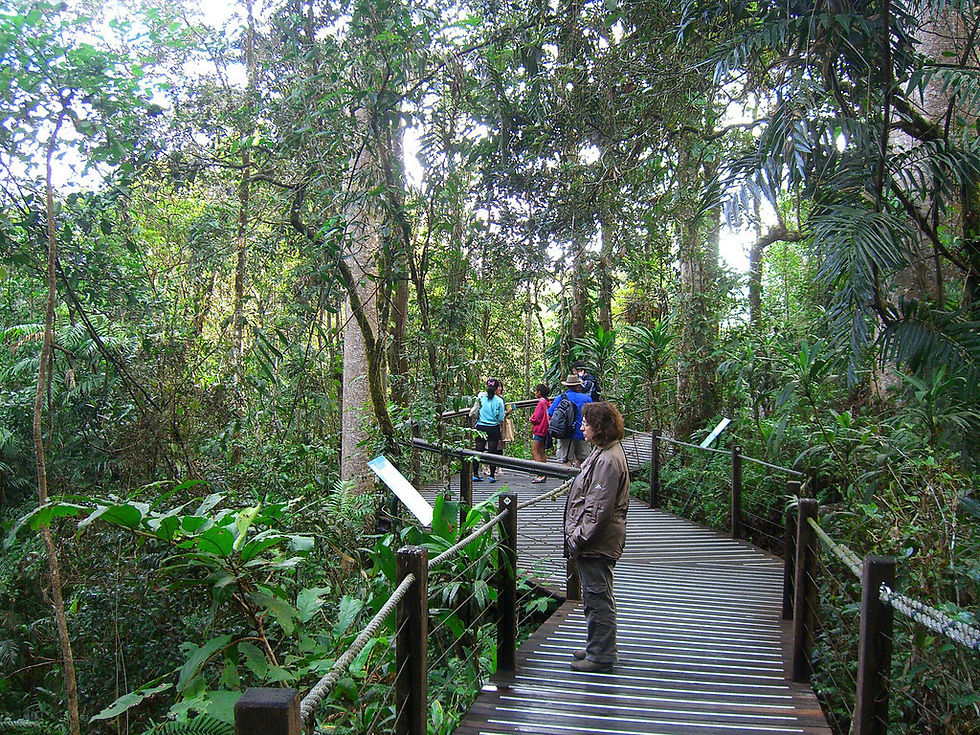 Thumbnail: Kuranda Rainforestation with Australian Butterfly