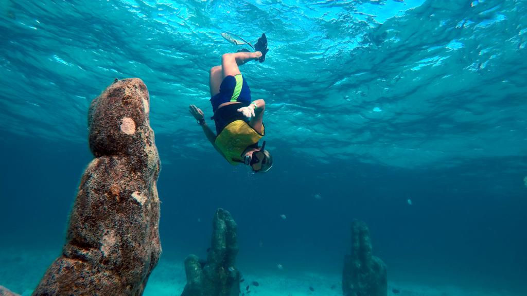 Enjoy The Best Snorkeling Experience Early in the Morning – Private Tour