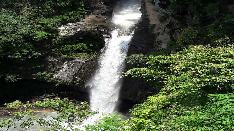 Thumbnail: Magical Towns of Coatepec and Xico