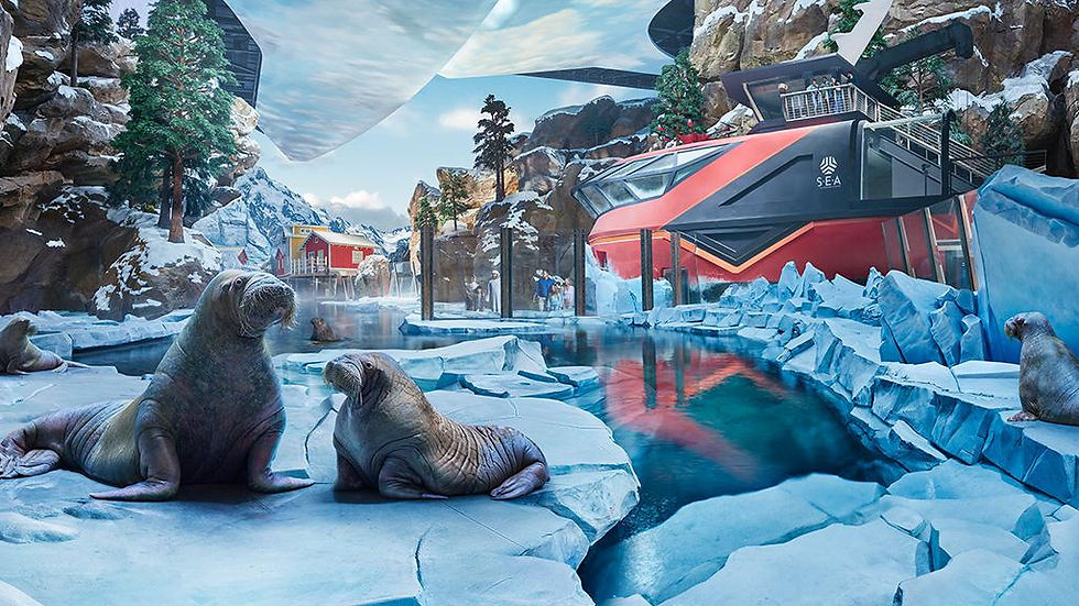 Thumbnail: Abu Dhabi Mosque & Sea World Tour