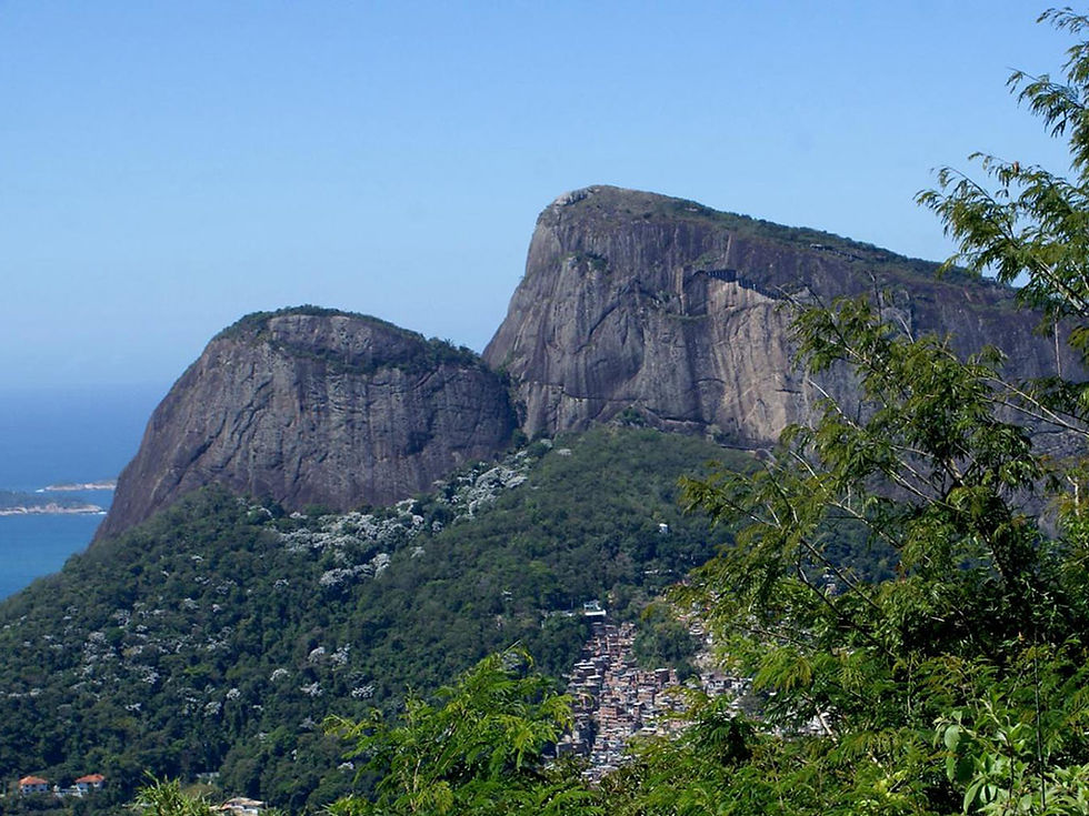 Thumbnail: Rainforest 4X4 Tour