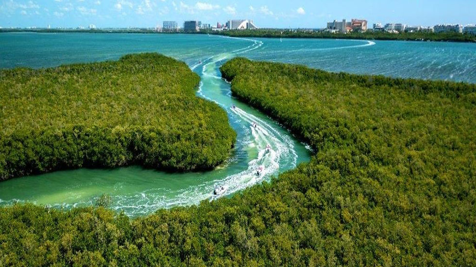 Thumbnail: Speedboat Tour, Snorkeling, Mayan Ceremony and Snack in Cancun