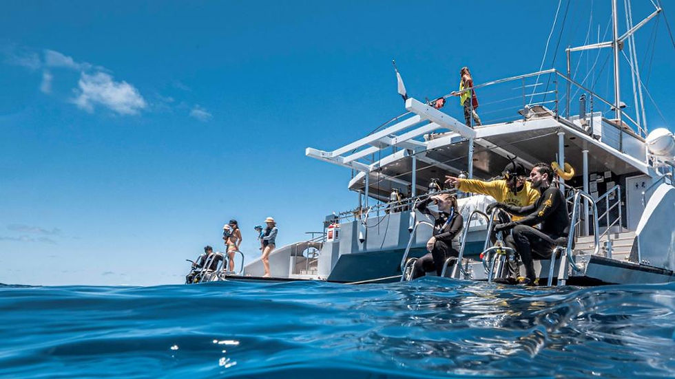 Thumbnail: Passions of Paradise - Great Barrier Reef Cruise