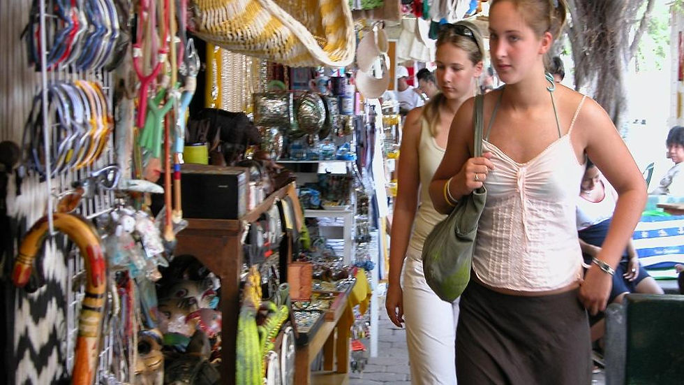 Thumbnail: Ixtapa Zihuatanejo Shopping and City Sightseeing Tour