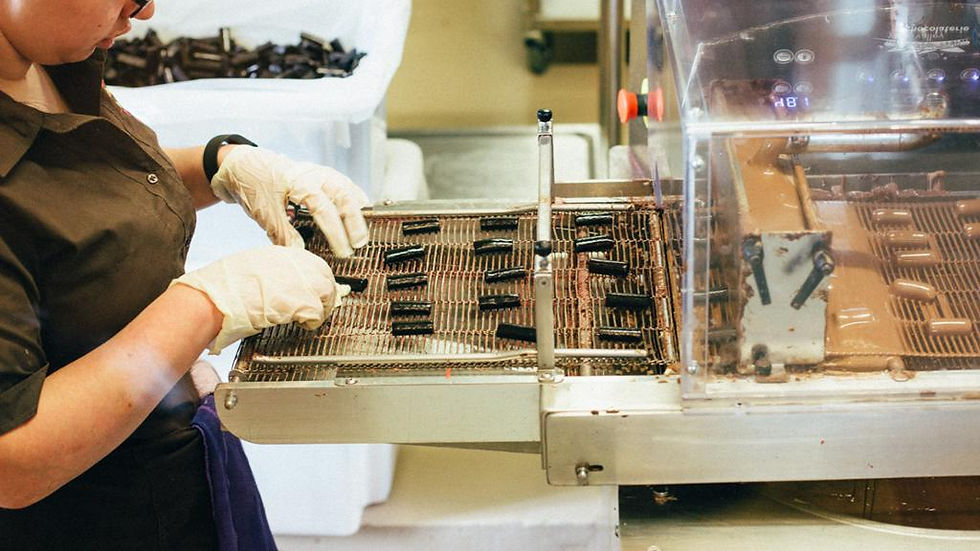 Thumbnail: 1 Day Lake Mountain Snow, Waterfalls and Chocolate Tour