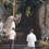 Thumbnail: Ancient Chiangrai Tour