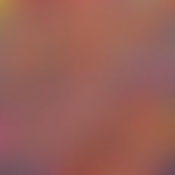 Rainbow Sprinkles