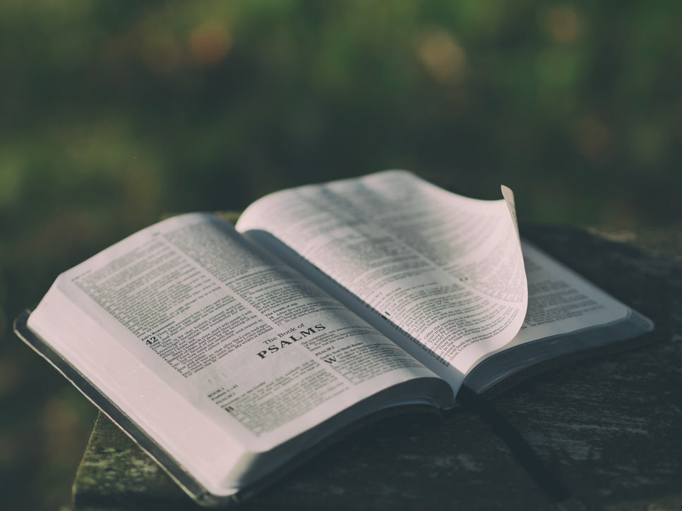Bible book of Psalms
