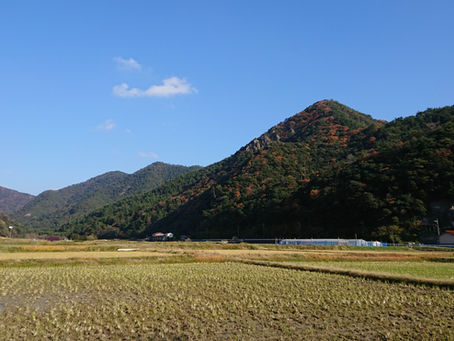 はじめまして