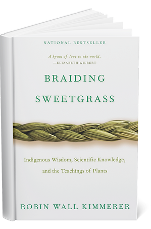 braiding sweetgrass.png